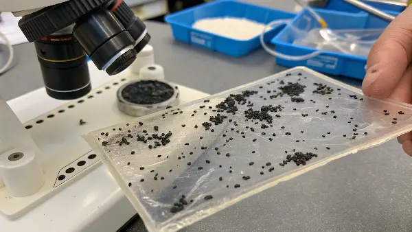 Microscopic View of Black Dots in Plastic A microscopic view of a carbonized black speck in a clear plastic sample